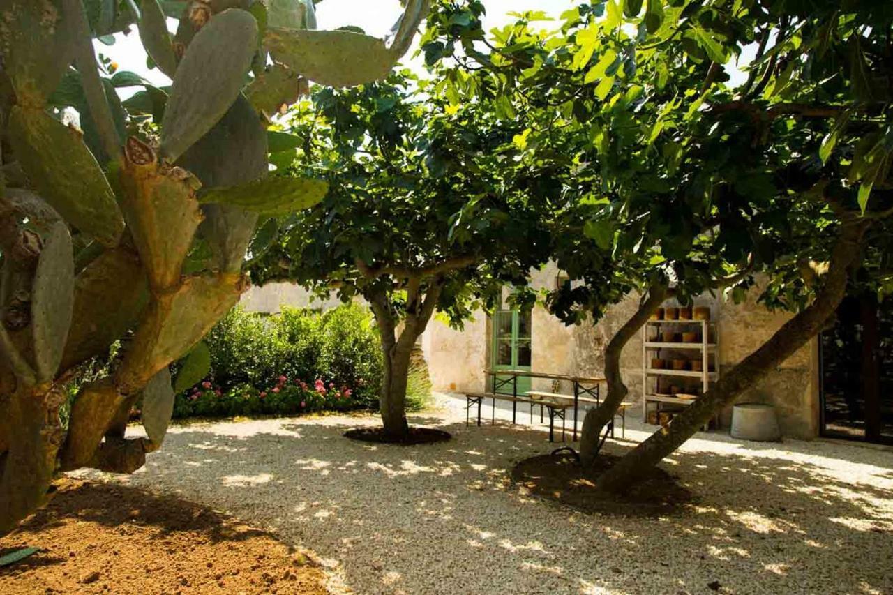 Masseria Celano Гроталие Екстериор снимка